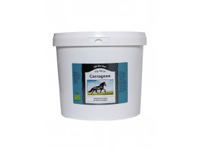 Carrageen2kg Hemsida