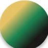 GOLD/GREEN/BLACK