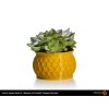 Fillamentum PLA Extrafill flower pot peppered mustard 01