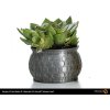 Fillamentum PLA Extrafill flower pot volcanic dust 02