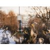 ENVIRO ptačí krmítko z recyklovaného PM filamentu v obklopení ptáků