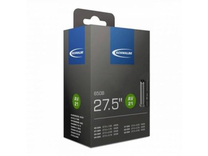 vyr 13131 schwalbe AV21