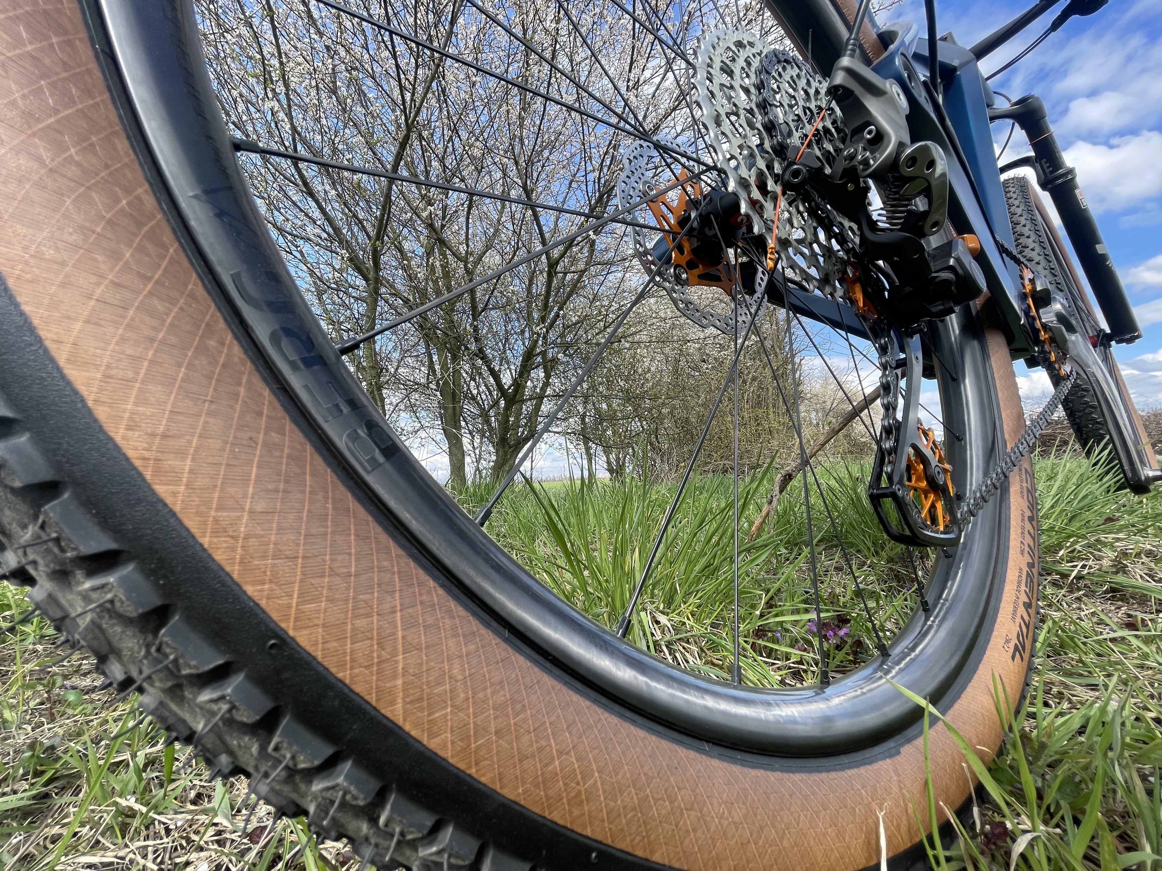 Bezduše, nebo duše?