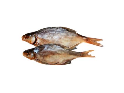bream 1