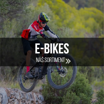 E-BIKES