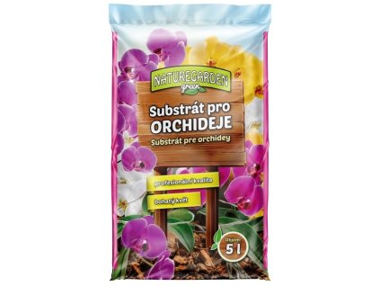orchide 5
