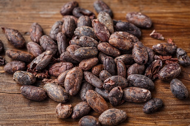 cacao-bean-2522918_640