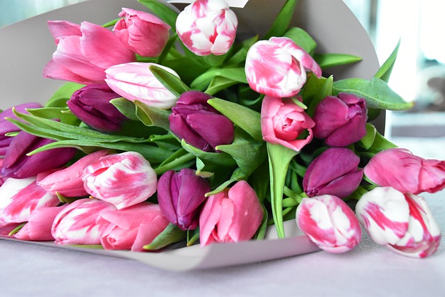 tulips-4927683_640