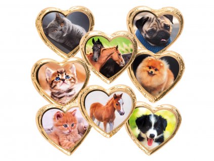 nugatove srdicko pes kocka kun