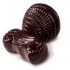Belgian Dark Seashells 60g