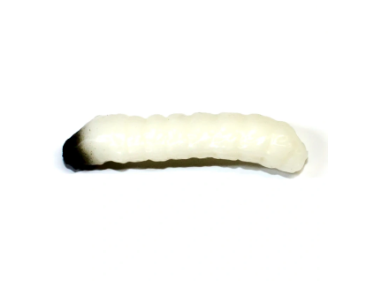 Obrázek