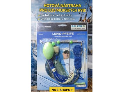 stažený soubor (1)