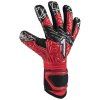 rinat fiera gk alpha cervena cerna 1