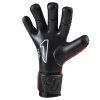 rinat fiera gk alpha cervena cerna 6