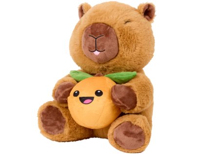 transparent Photoroom 56