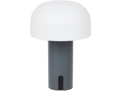 transparent Photoroom 260