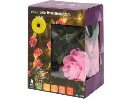 transparent Photoroom 222