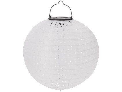 transparent Photoroom 229