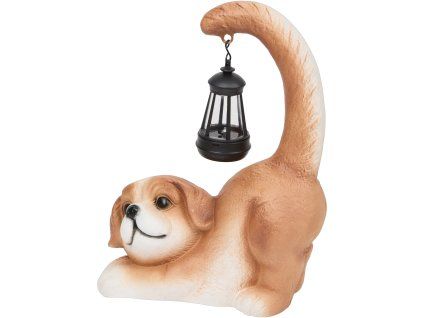 transparent Photoroom 247