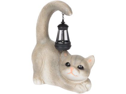 transparent Photoroom 248