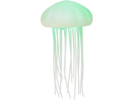 transparent Photoroom 251