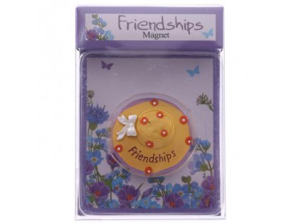 Magnet Friendships