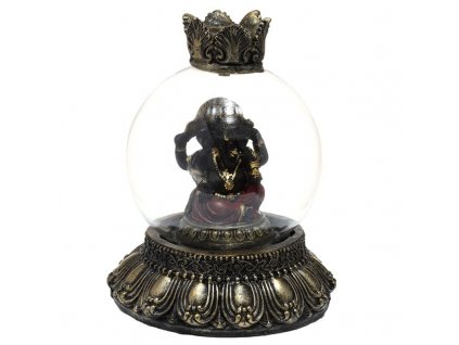 BACK42 001 1627051703