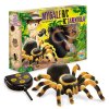 BUKI RC Tarantule