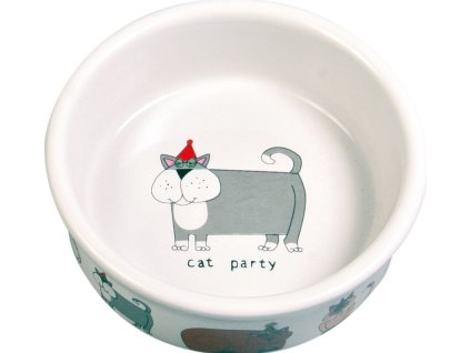cermaric bowl