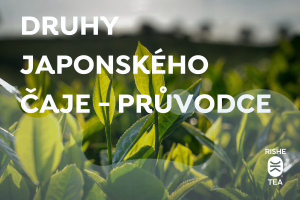 • Druhy japonského čaje: Kompletní průvodce