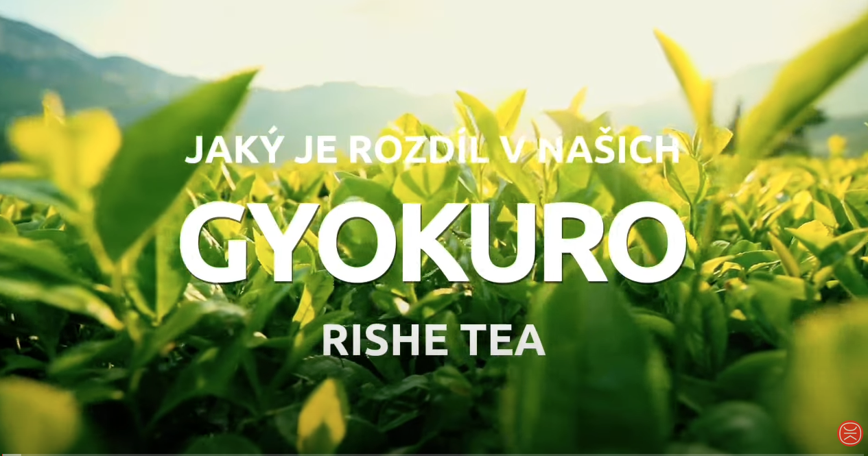 • Jaký je rozdíl v Gyokuro od Rishe Tea