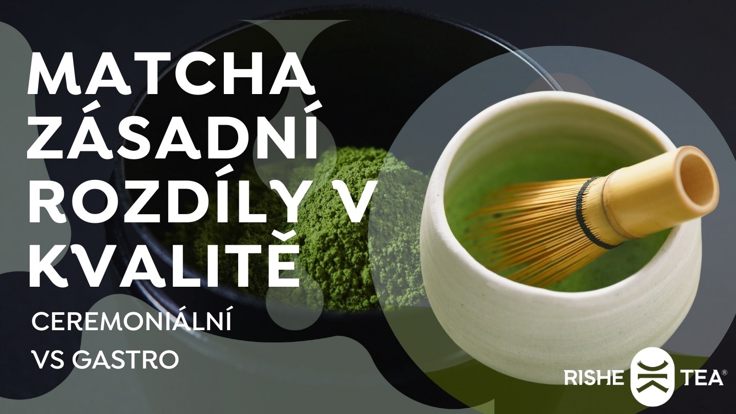 Kvalita Matcha: ceremoniální vs. kulinářská a proč na ní extrémně záleží