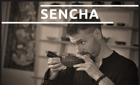 Sencha & Shincha