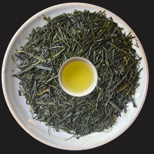 Inzatsu