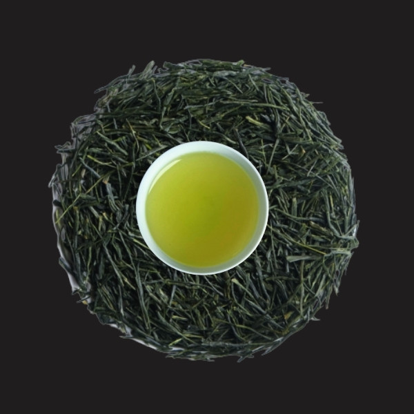 hashiri-list-salek