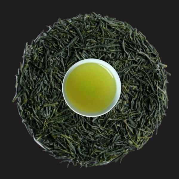 spring_midori-list-nalev
