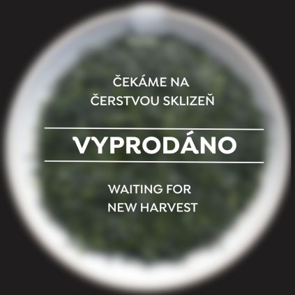 VYPRODÁNO