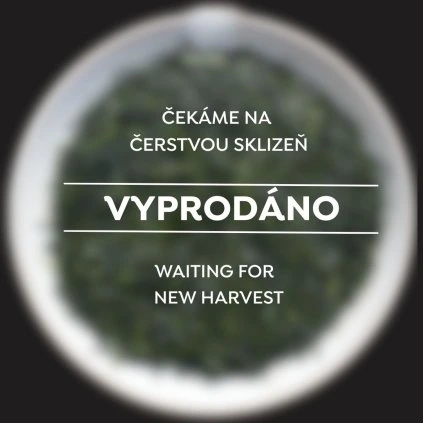 VYPRODÁNO