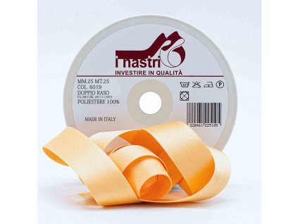 6019 25 25M nastro doppio raso pesca