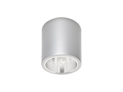 Stropní svítidlo DOWNLIGHT S, stříbrné