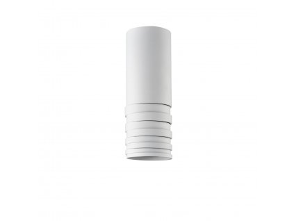 Moderní stropní LED osvětlení LOCUS, 1xGU10, 35W, bílé