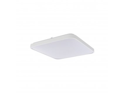 Stropní LED osvětlení do koupelny AGNES SQUARE, 32W, denní bílá, 44x44cm, hranaté, bílé