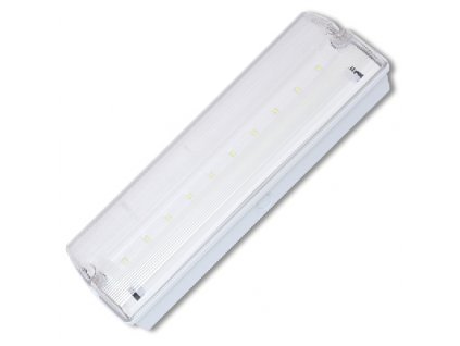 Nouzové LED svítidlo LEDER, 10xSMD5730, 5000K, IP65