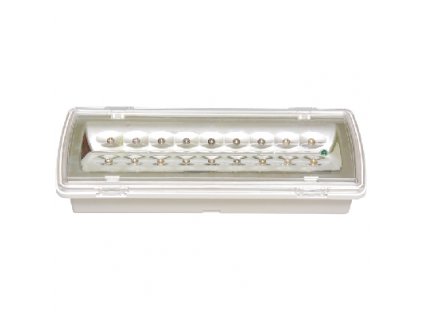 Nouzové LED SMD svítidlo LEDER 2, Ni-Cd, 1-3 hod, 130lm, 5000K, IP65