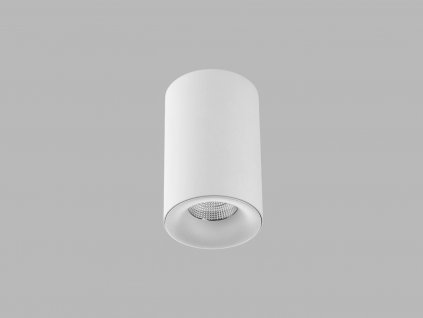 Bodové stropní LED osvětlení TUBUS C, 9W, teplá bílá, kulaté, bílé