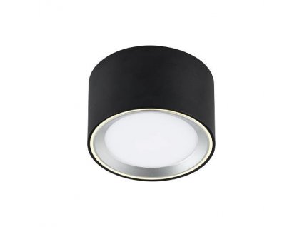 Stmívatelné LED stropní osvětlení FALLON, 5,5W, teplá bílá,  černé, stříbrné