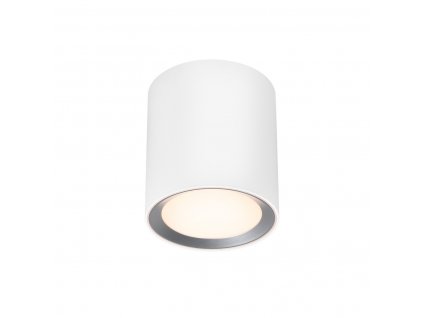 Koupelnové stmívatelné LED světlo LANDON, 6,5W, teplá bílá, bílé