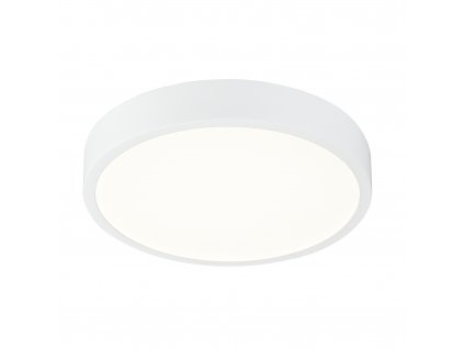 LED stropní přisazené svítidlo ARCHIMEDES, stmívatelné, denní bílá, 17cm, kulaté