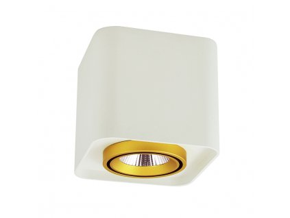 LED stropní moderní osvětlení OMEGA, 10W, teplá bílá, 10x10cm, hranaté, bílozlaté