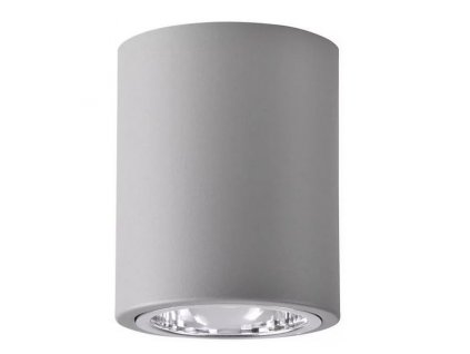 Stropní osvětlení LEXINGTON, 1xE27, 60W, 10cm, kulaté, šedé